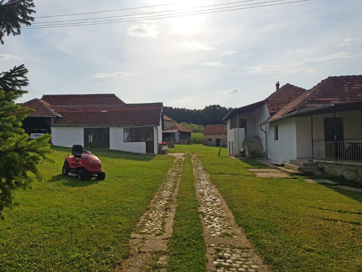 Green Apartments Kursumlija Exteriér fotografie